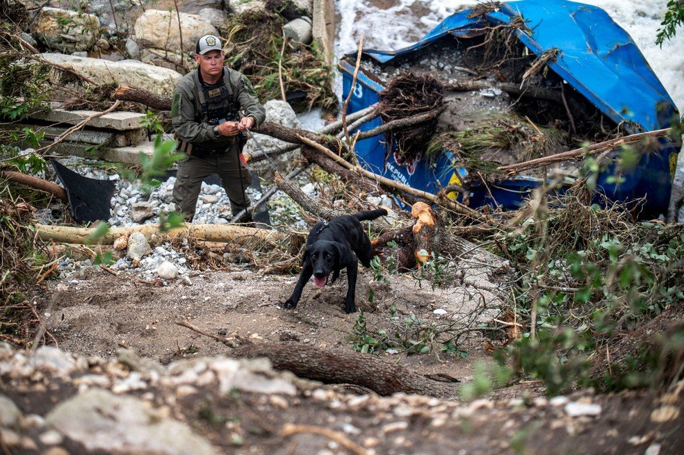 Enchentes no Texas: 82 mortos, 40 desaparecidos e risco de novas inundações. 2 Cão farejador com resgatista em busca por desaparecidos no acampamento de verão Camp Mystic em 5 de julho de 2025. — Foto: REUTERS/Sergio Flores