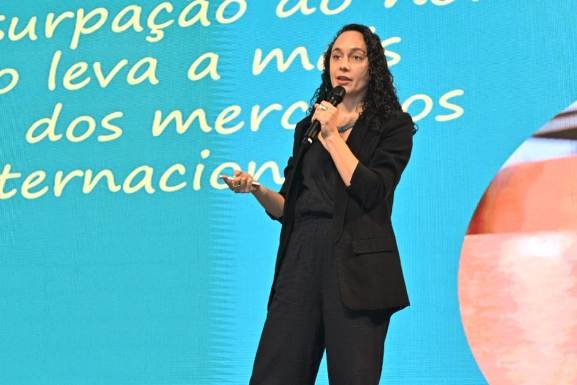 sebraerrtransformarjuntos31